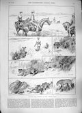 Original Old Antique Print 1889 Hunting Cheetahs Dhar Central India L Victorian