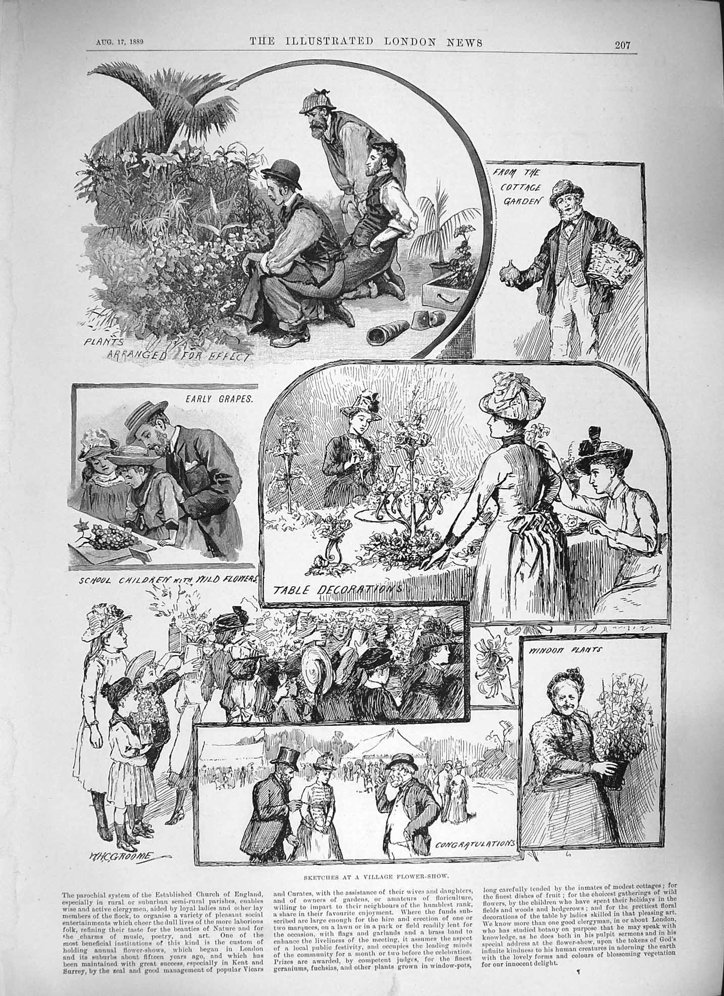 Old Antique Print 1889 Village Flower Show Plants Grapes Cottage Garden 19th