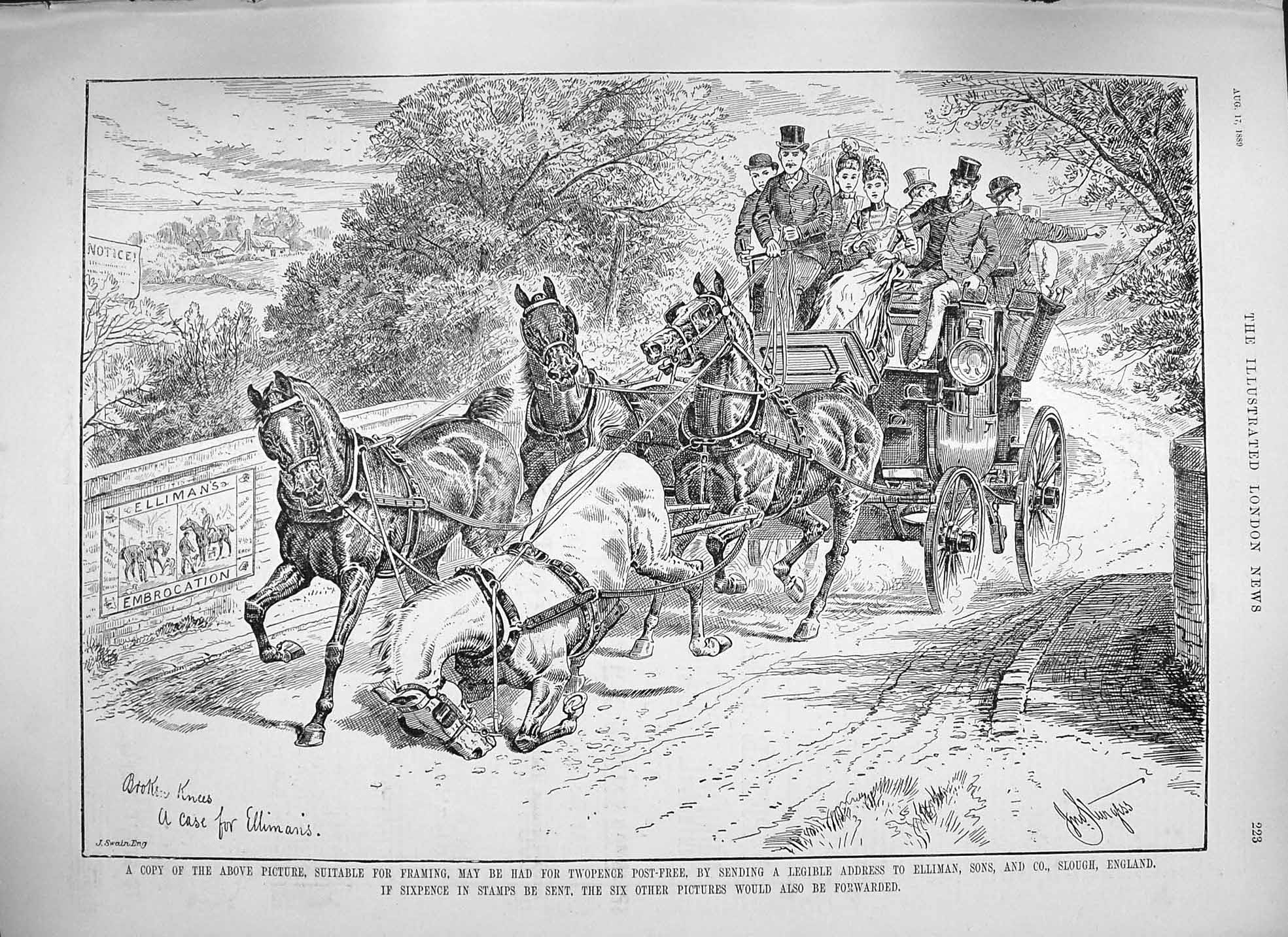 Antique Old Print *3842 1889 Advertisement Ellimans Embrocation Horses Slough
