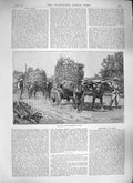 Original Old Antique Print 1889 Conveying Farm Produce Chile South America 19th