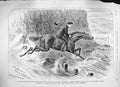 Old Antique Print 1889 Advertisement Ellimans Embrocation Horse Man Sea 19th
