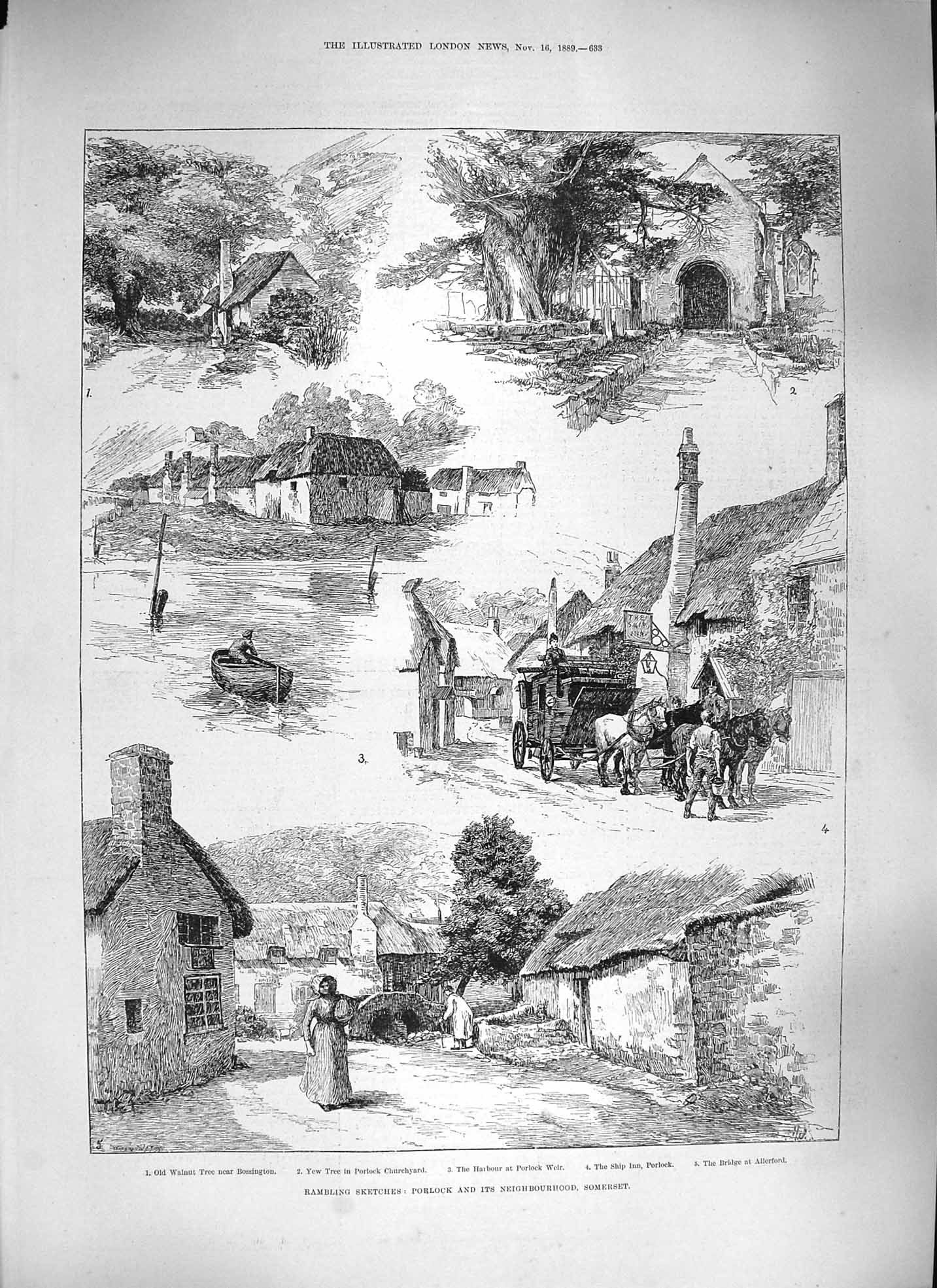 Original Old Antique Print 1889 Porlock Somerset Churchyard Walnut Tree Bos 19th