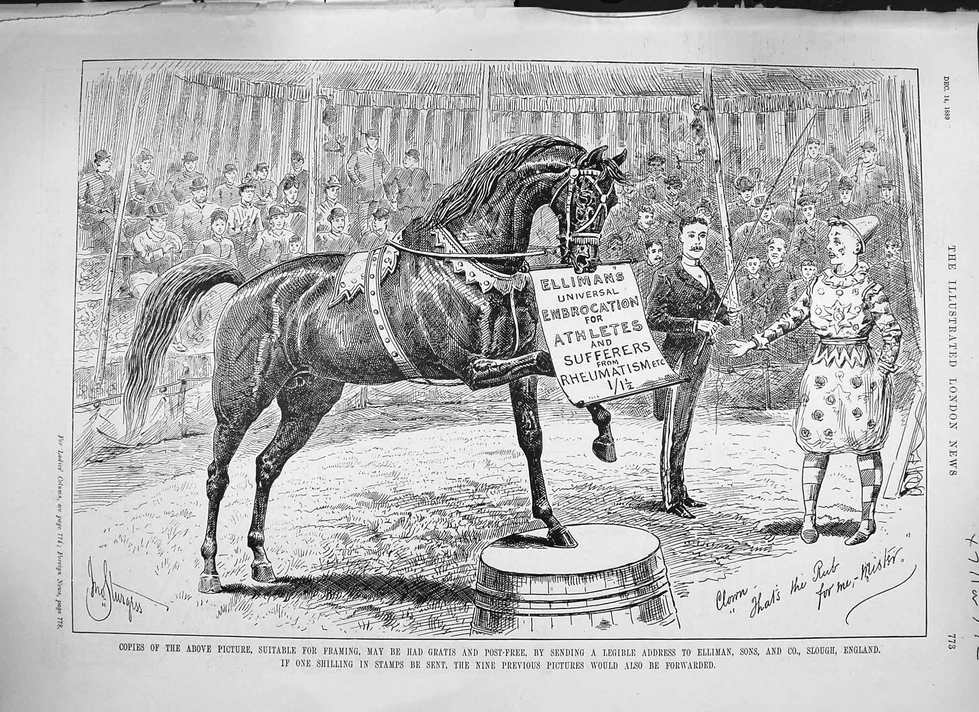 Original Old Antique Print 1889 Advertisement Ellimans Universal Embrocation