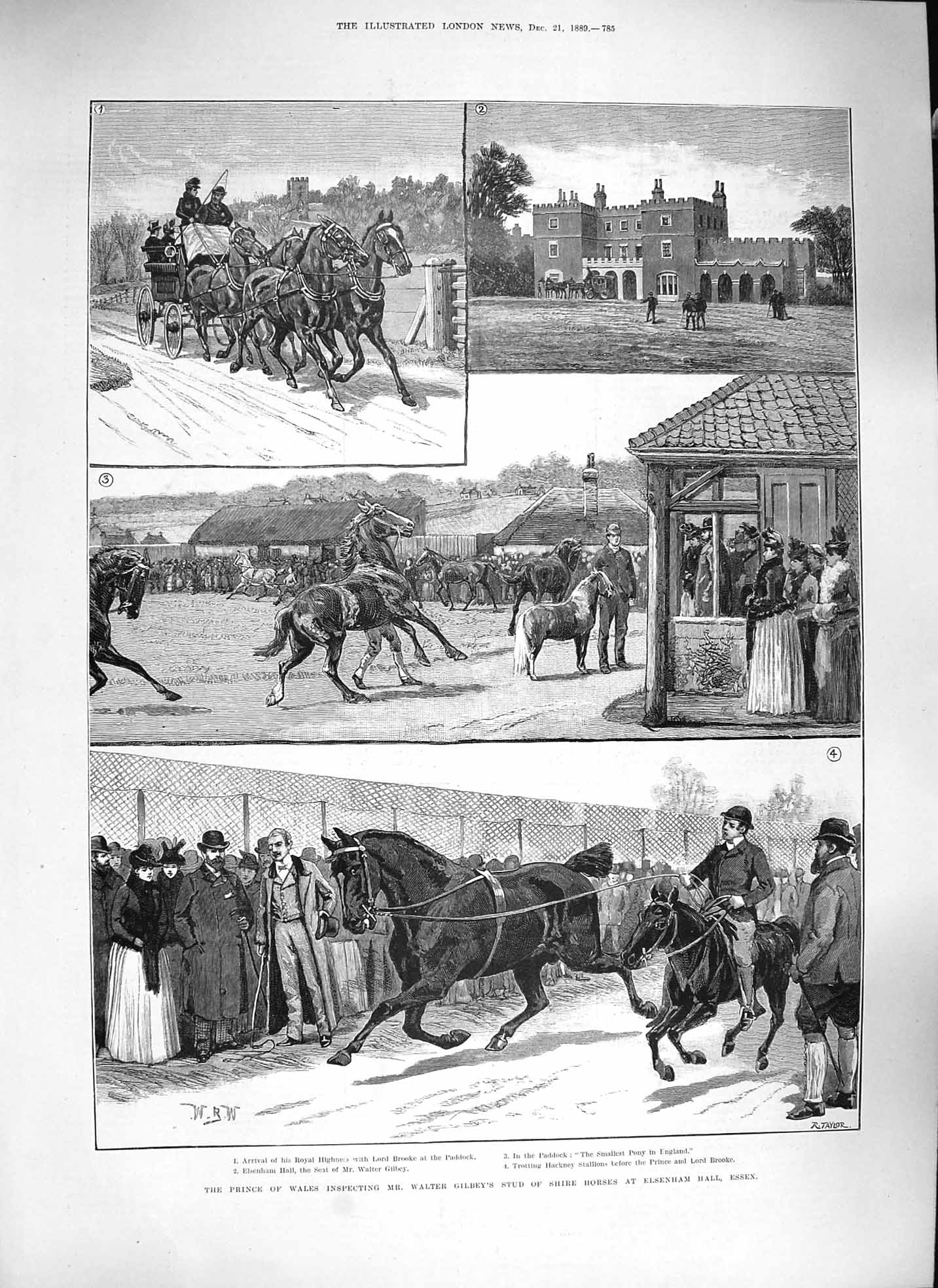 Antique Old Print *3836 1889 Prince Wales Walter Gilbey Shire Horses Elsenham
