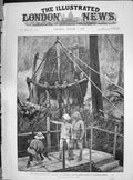 Old 1890 Prince Albert Victor India Catching Wild Elephants Governmen Victorian