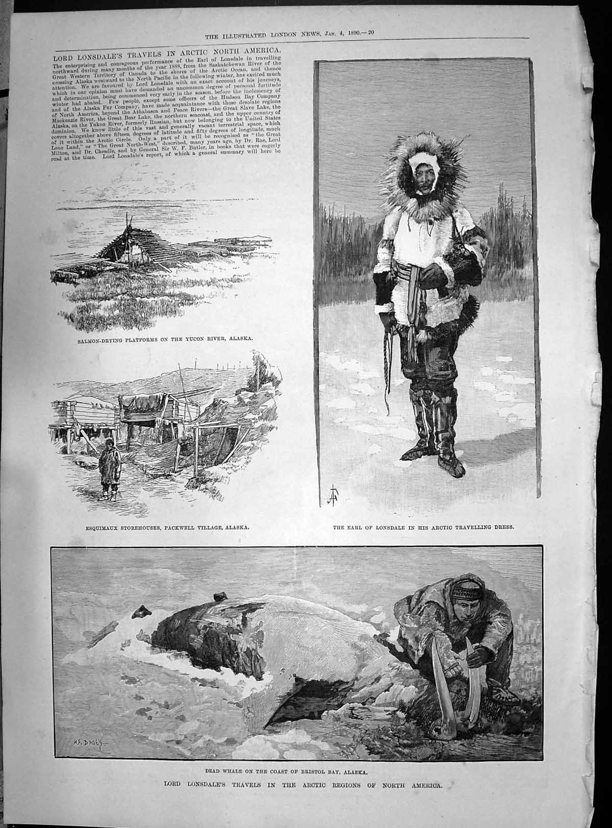 Old 1890 Lord Lonsdale Arctic Esquimaux Dead Whale Bristol Bay Alaska Victorian