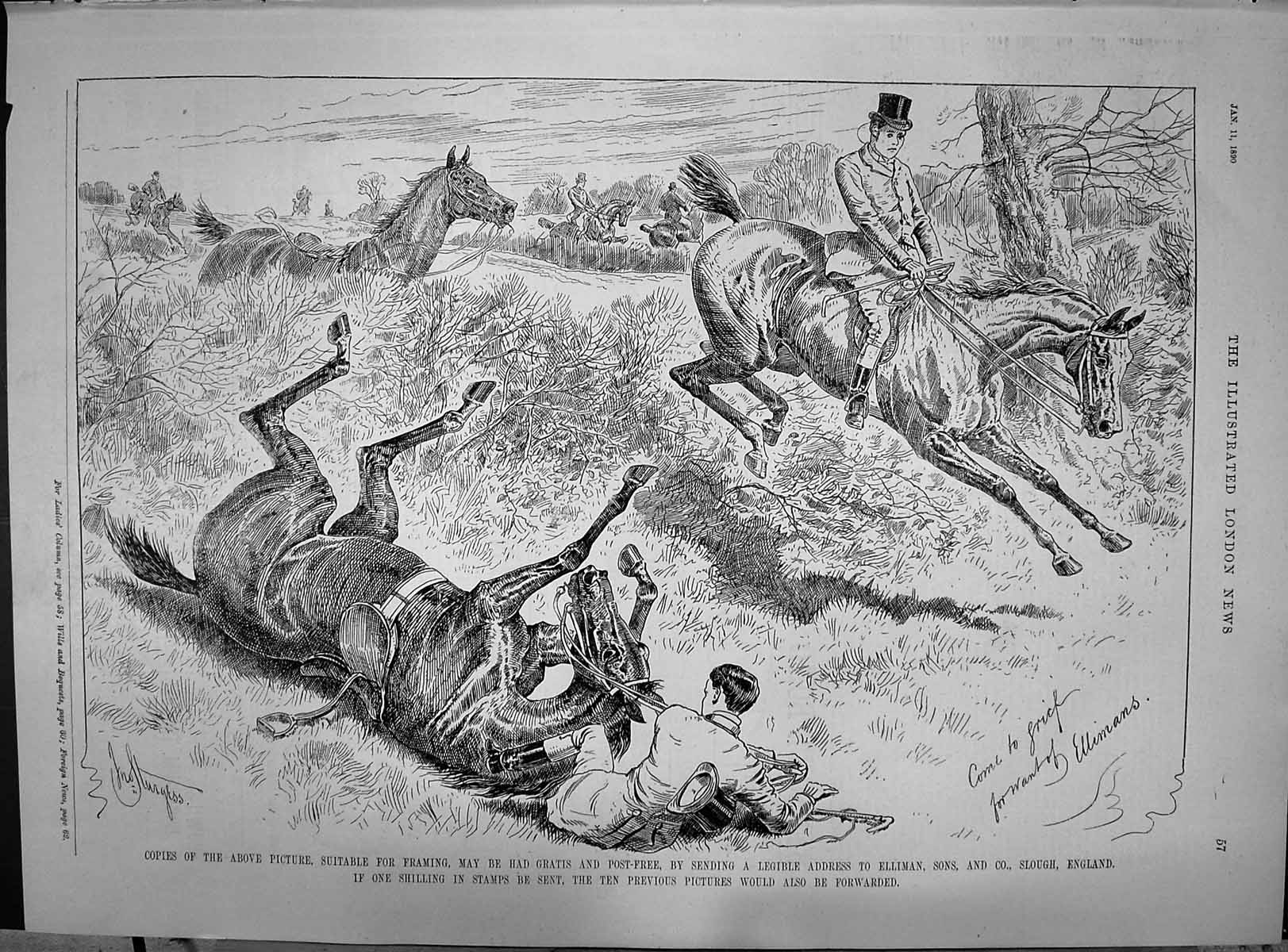 Antique Print 1890 Advertisement Elliman Sons Slough England Horses Hunting