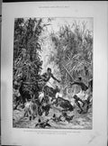 Old 1890 Stanley Emin Pasha Expedition Foraging Supplies Yambuya Camp Victorian