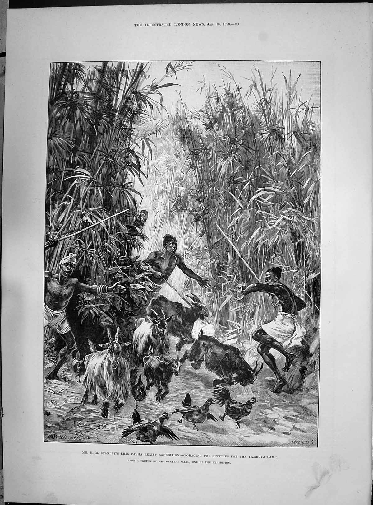 Old 1890 Stanley Emin Pasha Expedition Foraging Supplies Yambuya Camp Victorian