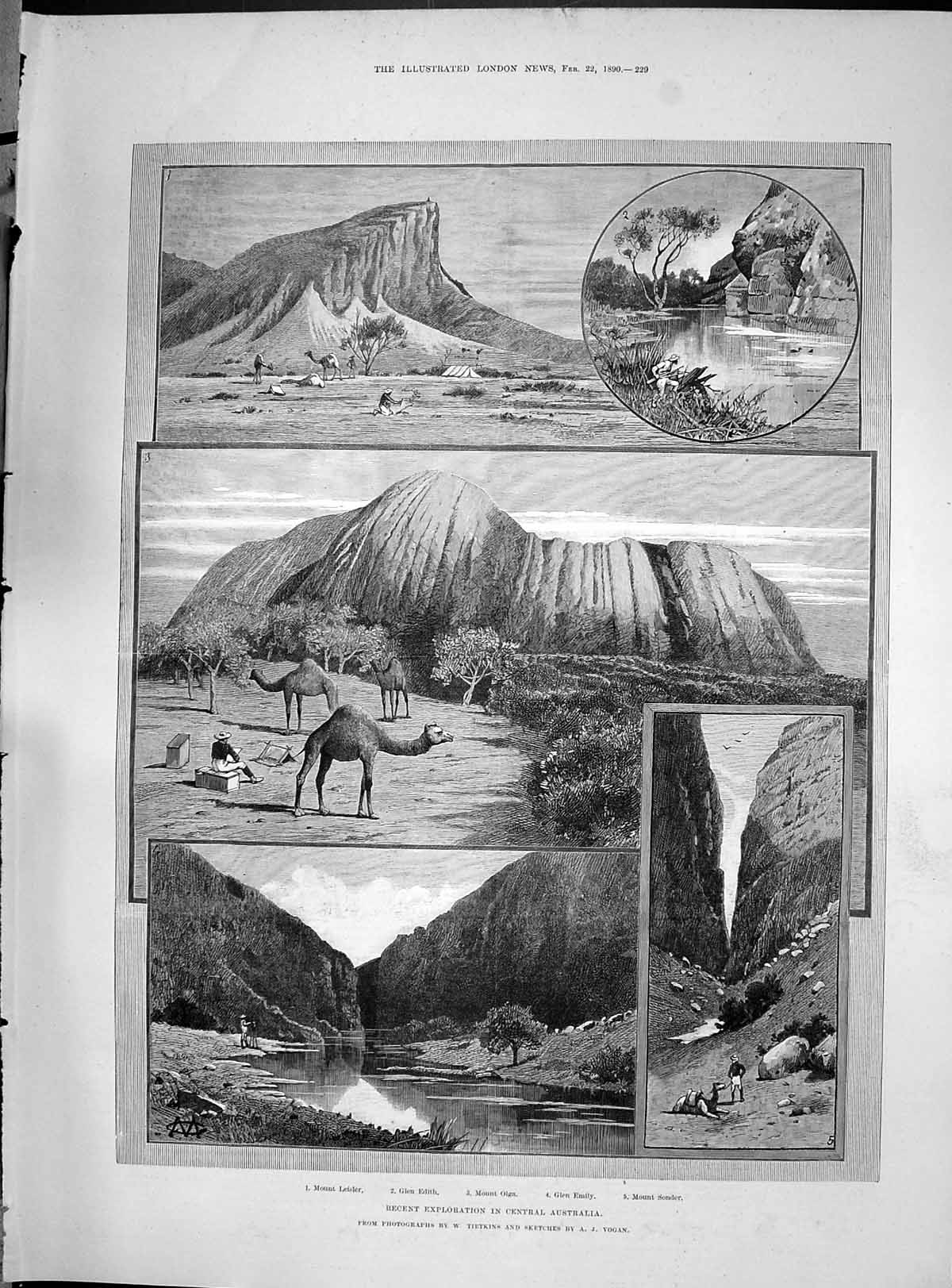 Old 1890 Australia Mount Leisler Edith Olga Emily Sonder Julius Andra Victorian