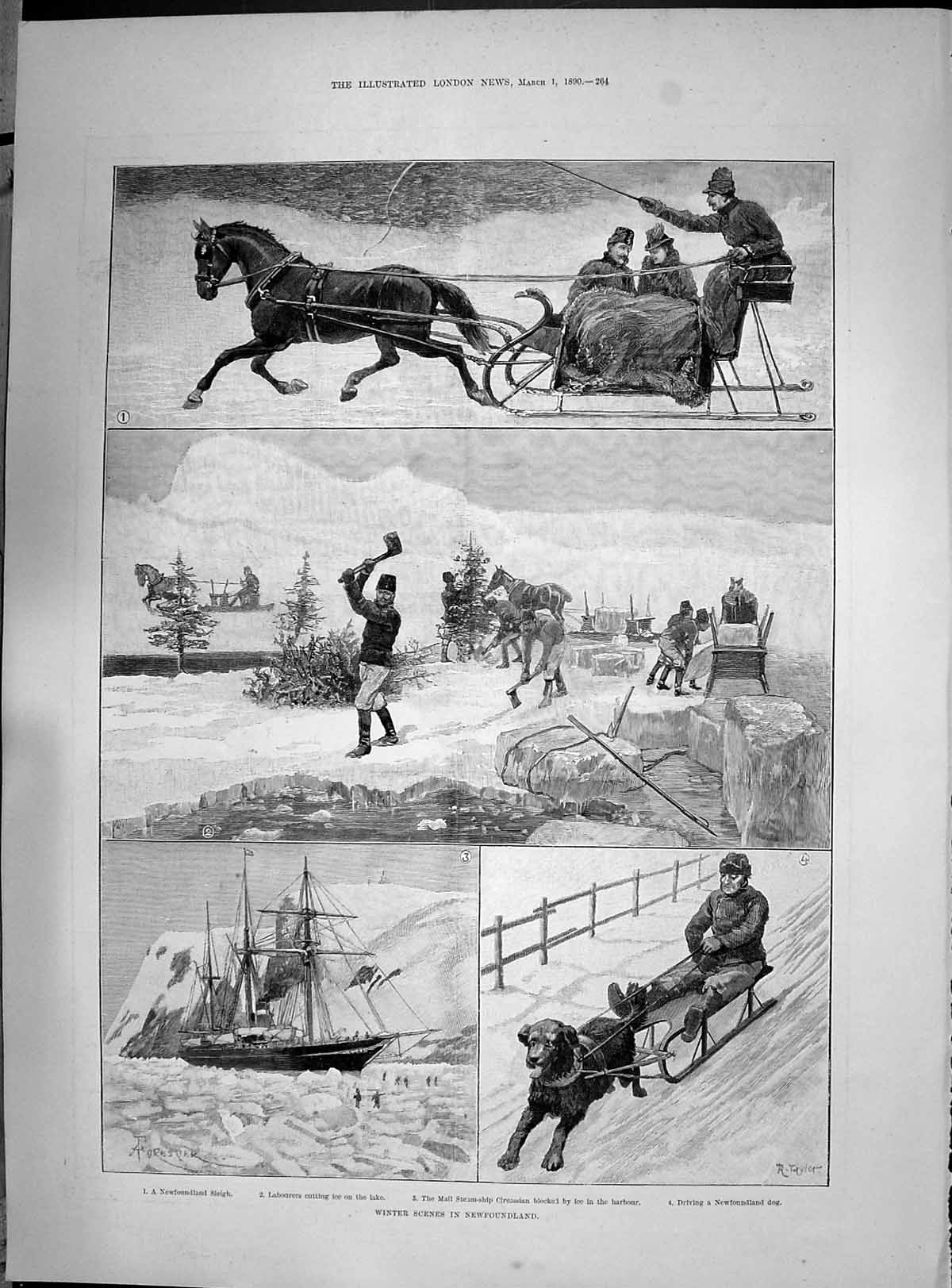 Old 1890 Winter Newfoundland Ship Circassian Waterloo Cup Meeting Gre Victorian