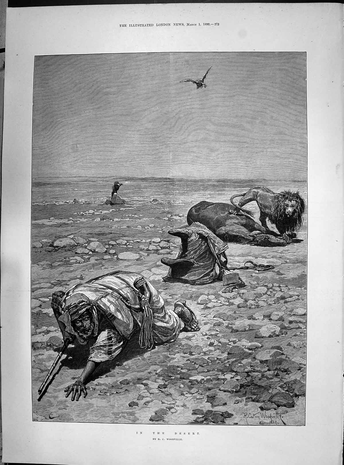 Old 1890 Scene Desert Dead Horse Lion Vulture New York America Goats Victorian
