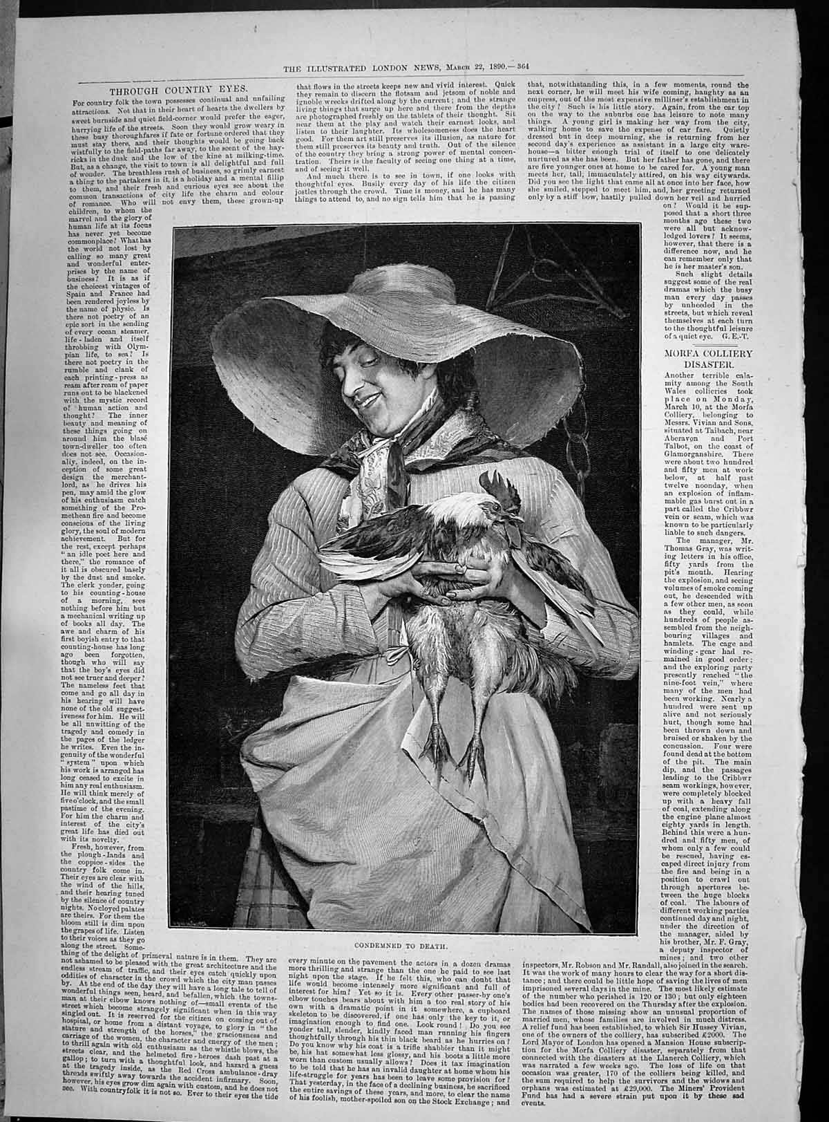 Old 1890 Lady Chicken Condemned Death Farming Monster Elephant Mandal Victorian