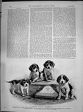 Original Old Antique Print 1890 Advertisement Hudson'S Soap Puppy Dogs 19th