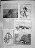 Old 1890 Harvest Cambria Boy Trimming Hedge Medoc Mosque Sultan Hassa Victorian