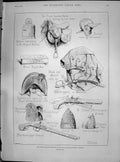 Old 1890 Military Exhibition Hospital Chelsea Wellington Waterloo Duk Victorian