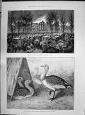Old 1890 Fire Lunatic Asylum Montreal Canada Great Bustards Birds Dae Victorian