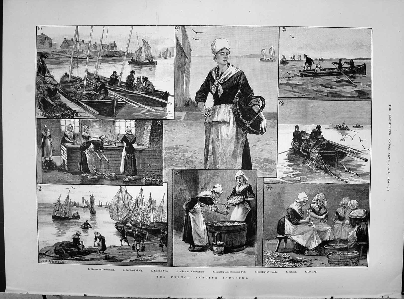 Old 1890 France Sardine Fishing Industry Breton Workwoman Salting Coo Victorian