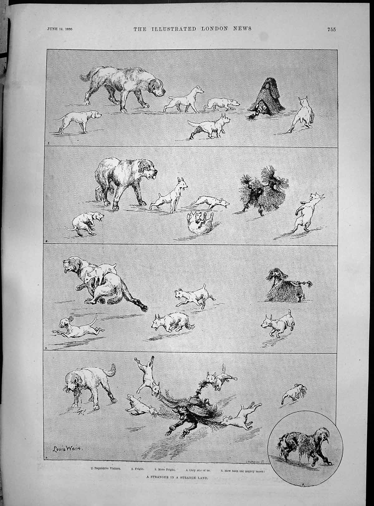 Old 1890 Louis Wain Dogs Cats Stranger Strange Metropolitan Police Th Victorian