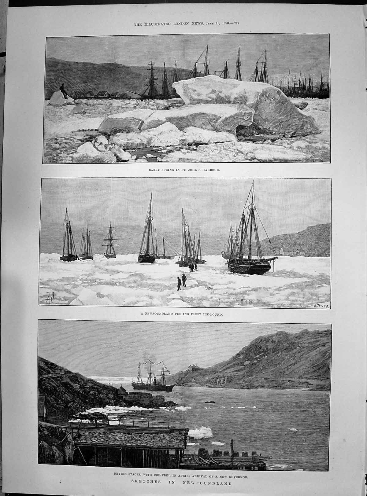 Old Newfoundland John'S Harbour Fishing Ships Drying Stages Cod 1890 Victorian