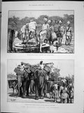 Antique Old Print 1890 Countryside Scene Gathering Ivy Ball Dresses Caffieri