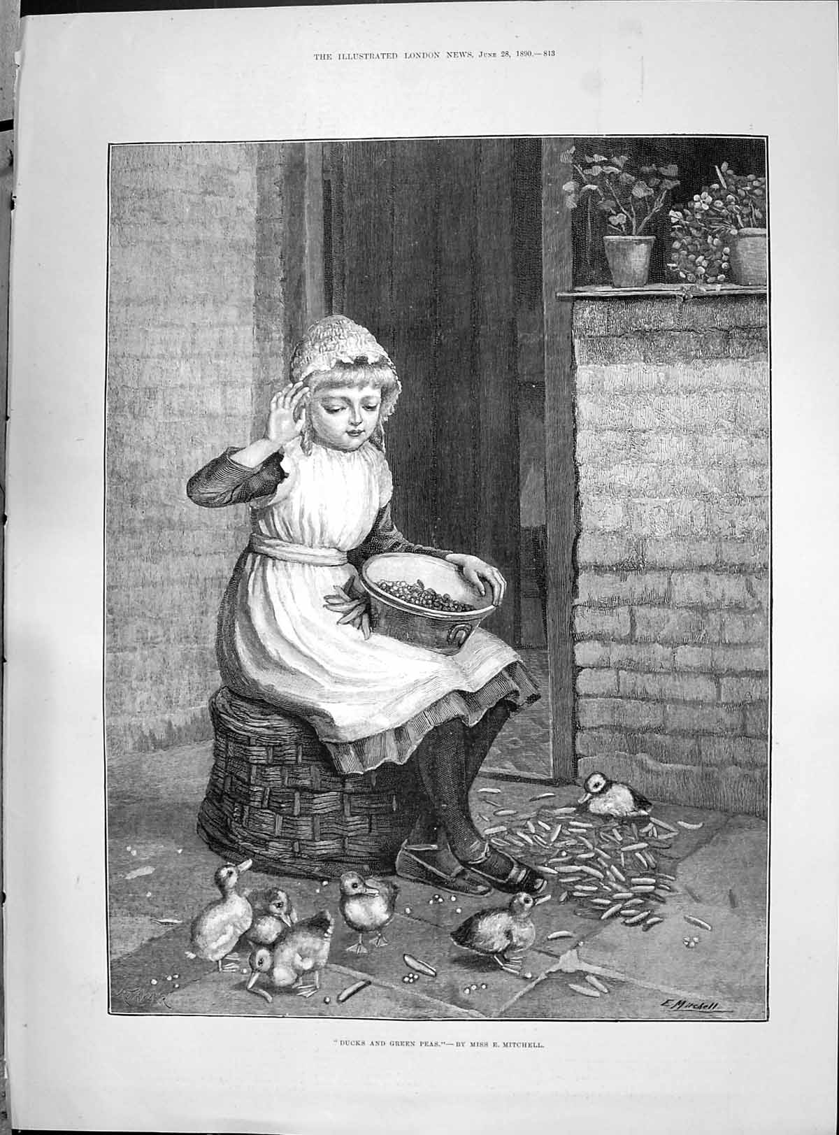 Original Old Antique Print 1890 Young Girl Ducks Green Peas Mitchell Fine Art