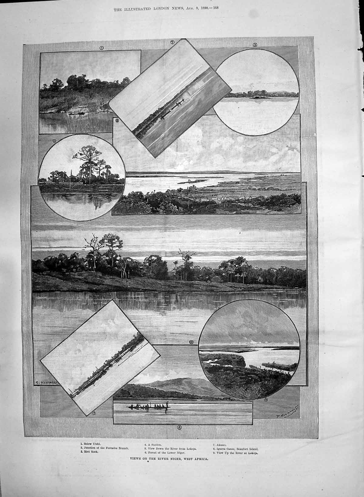 Old 1890 River Niger Africa Utshi Akassa Igurra Canoe Lokoja Bird Roc Victorian
