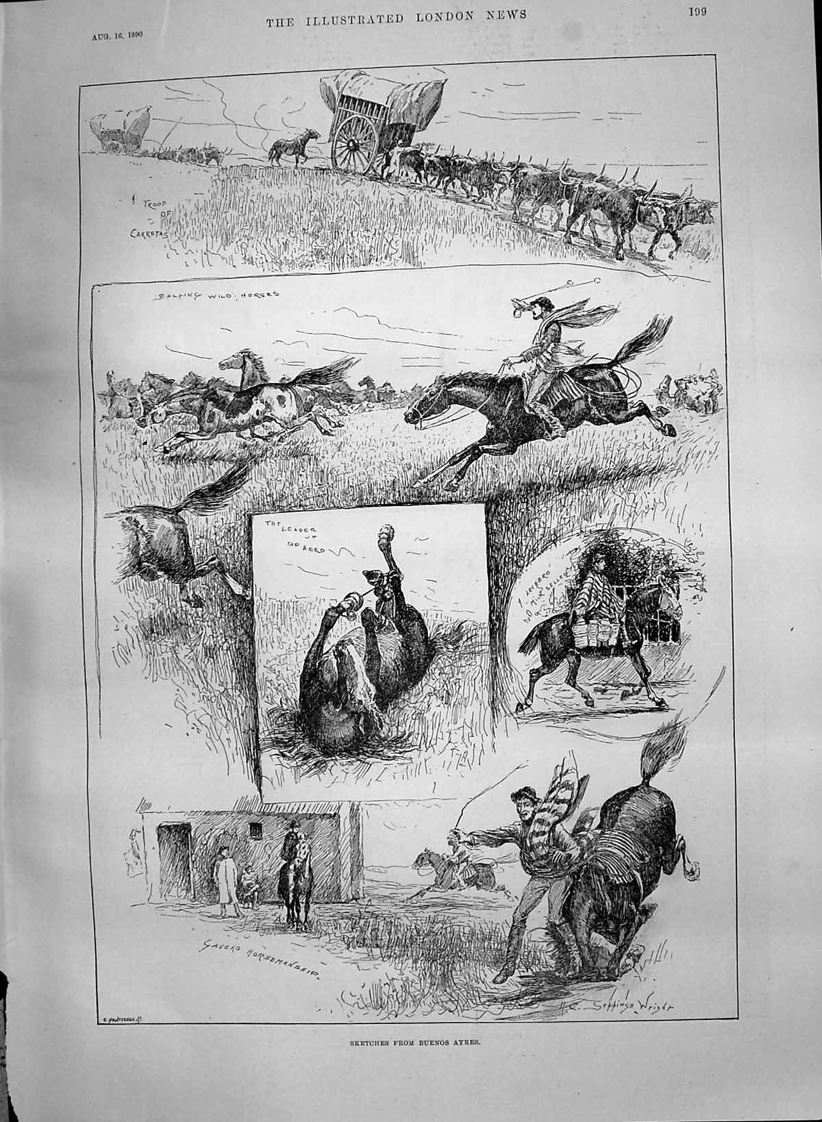 Old 1890 Buenos Ayres Horses Carretas German Emperor Eastney Portsmou Victorian