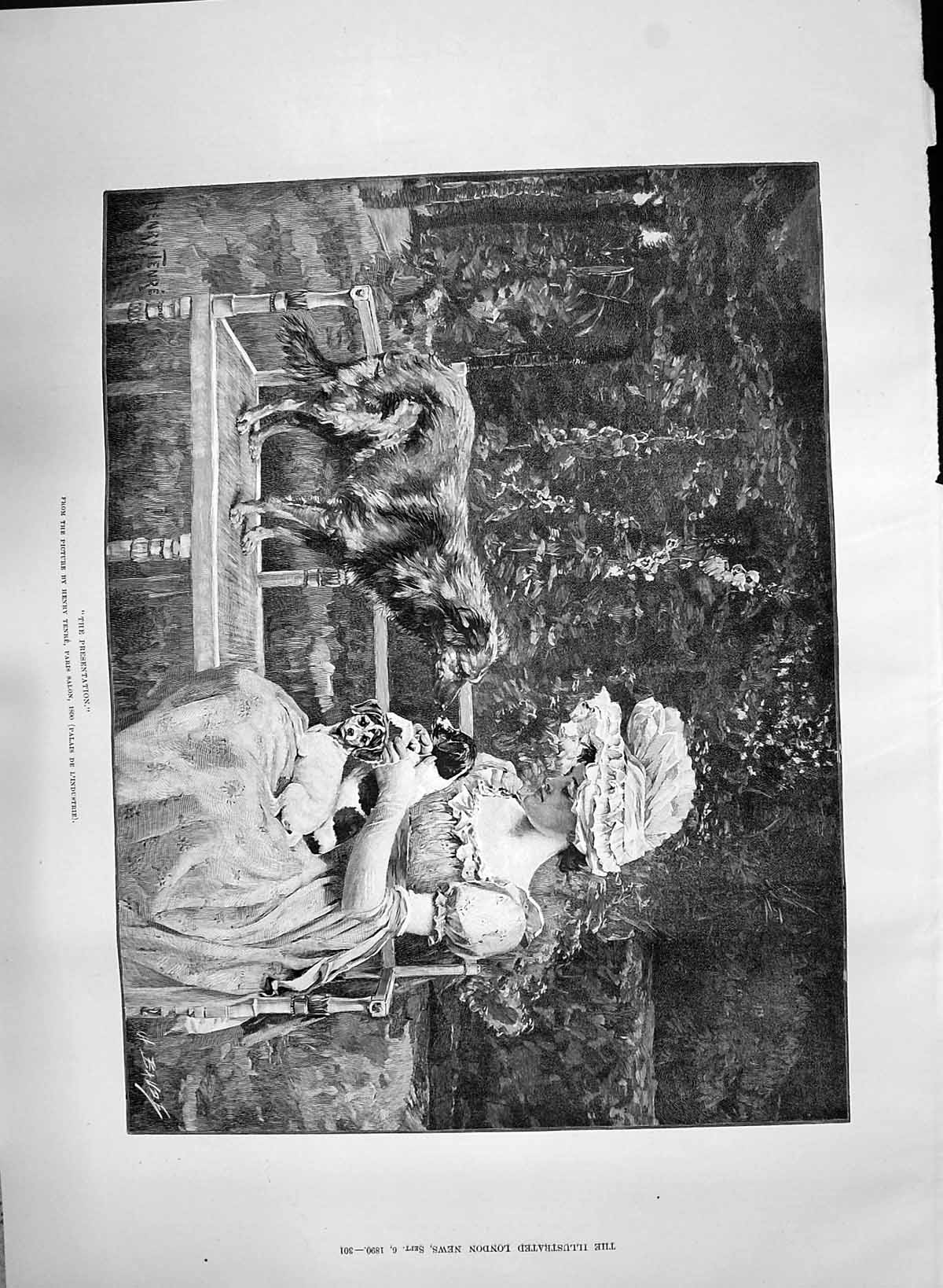 Antique Old Print 1890 Presentation Young Woman Puppy Dogs Pets Henry Tenre