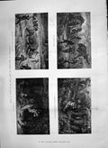 Old Wild Beasts Baker 1890 Lion Tiger Elephants Noosed Rhinoceros Fir Victorian