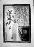 Old Print 1890 Unperceived Danger Birds Eating Bread Attacking Cats Wain 19th