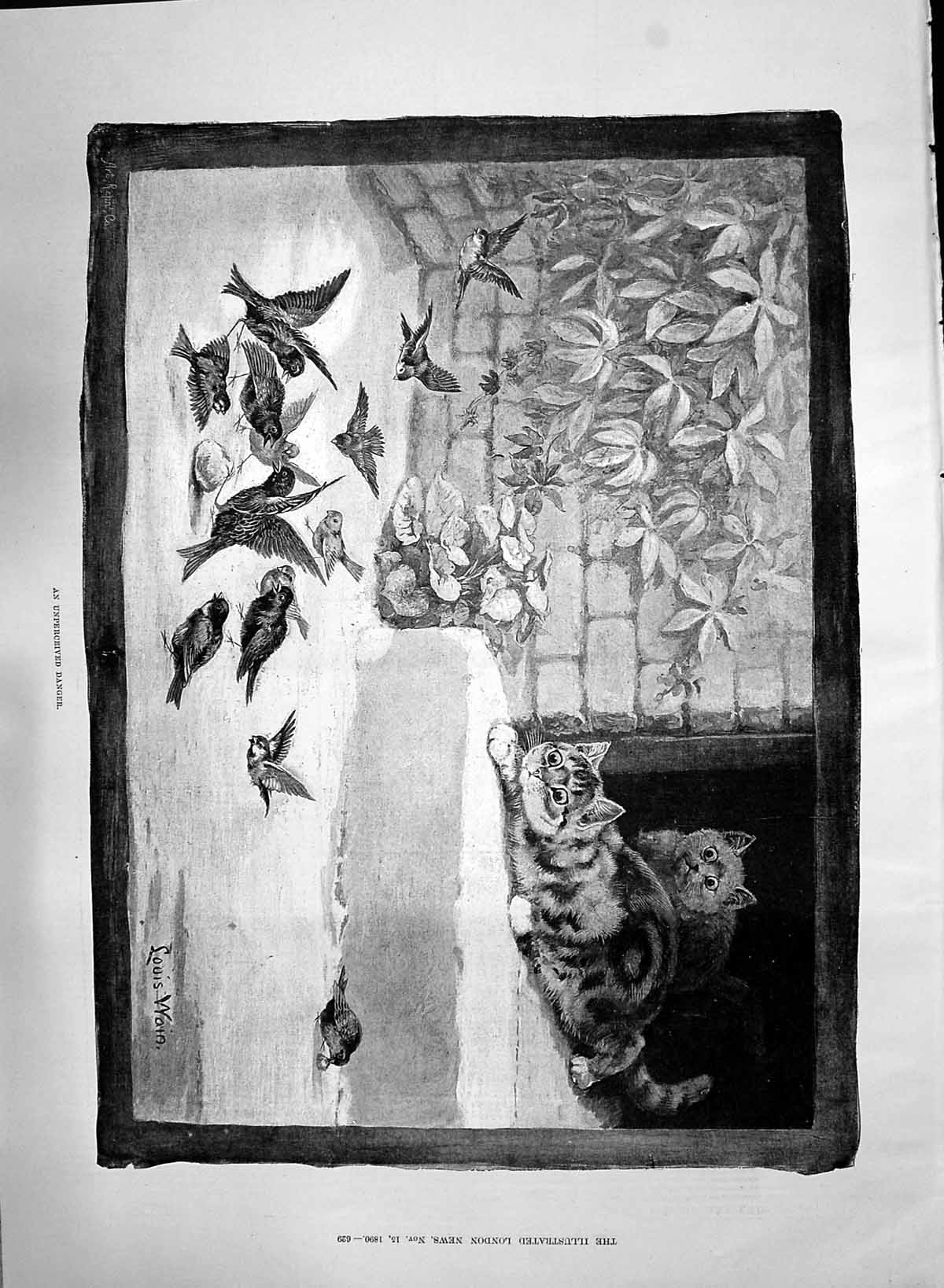 Old Print 1890 Unperceived Danger Birds Eating Bread Attacking Cats Wain 19th