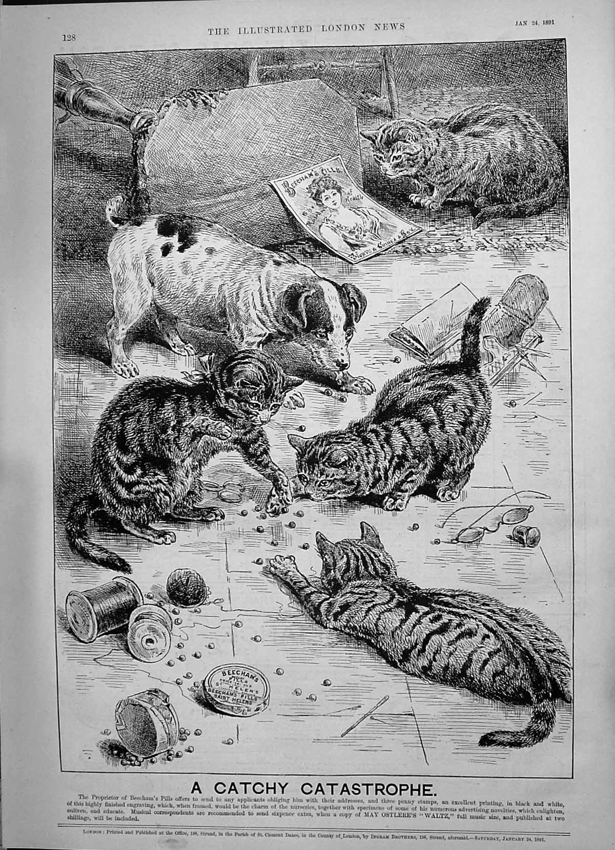 Old 1891 Catchy Catastrophe Cats Advertisement Beechams Pills St. Hel Victorian