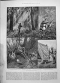 Old 1891 Buffalo Hunting India Shikarree Buffalo Canon Creighton Bish Victorian