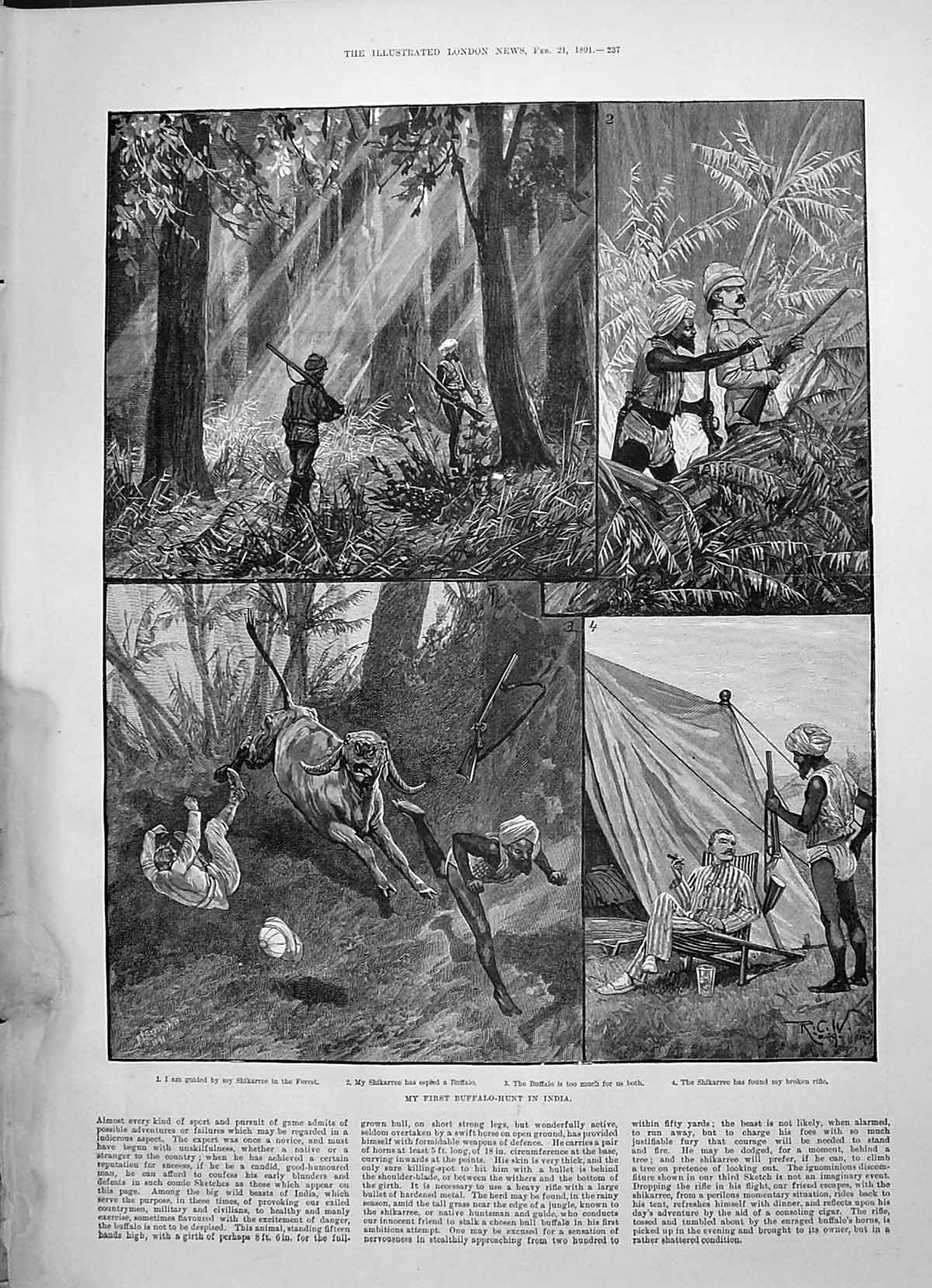 Old 1891 Buffalo Hunting India Shikarree Buffalo Canon Creighton Bish Victorian