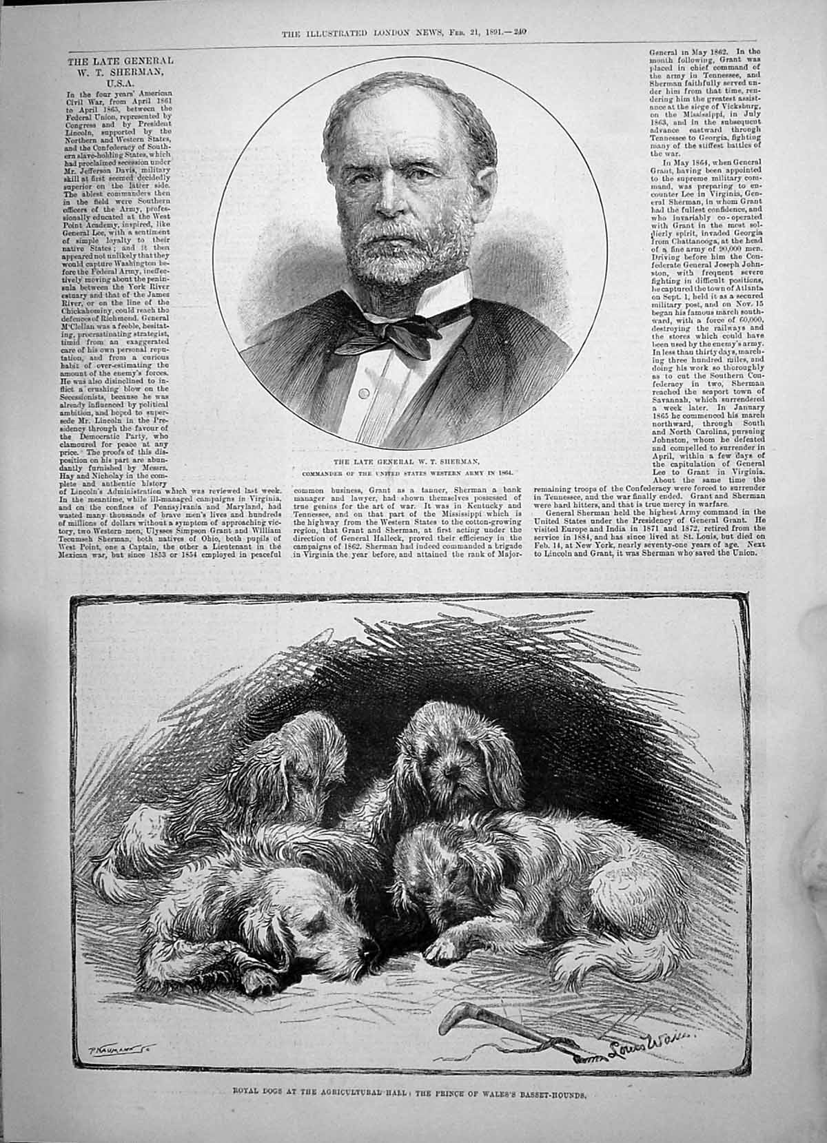 Old 1891 General Sherman Royal Dogs Prince Wales Basset-Hounds Rudini Victorian