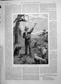 Old 1891 Shakspeare Australian Sheep Run Shepherd Man Reading Poetry Victorian