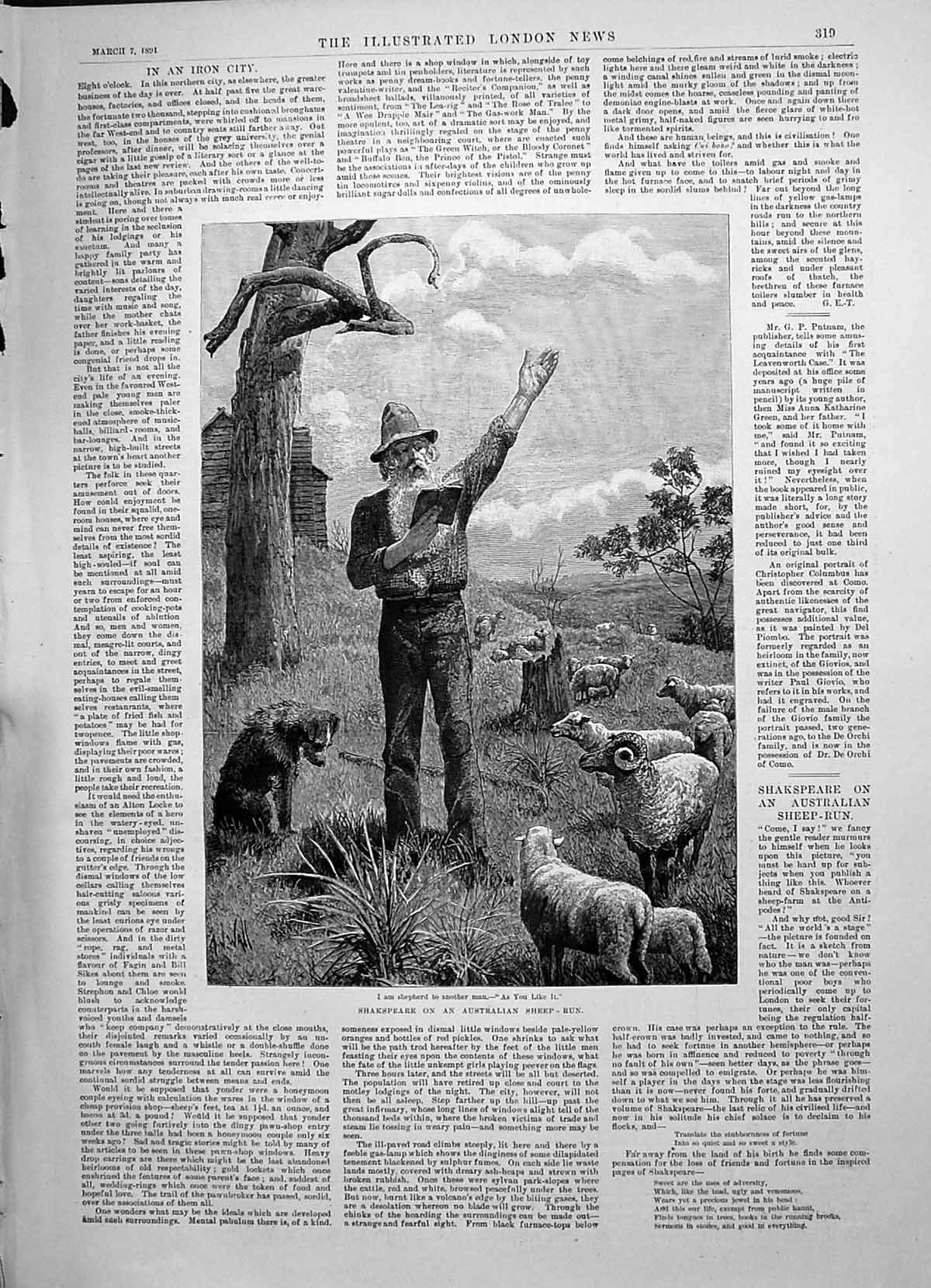 Old 1891 Shakspeare Australian Sheep Run Shepherd Man Reading Poetry Victorian