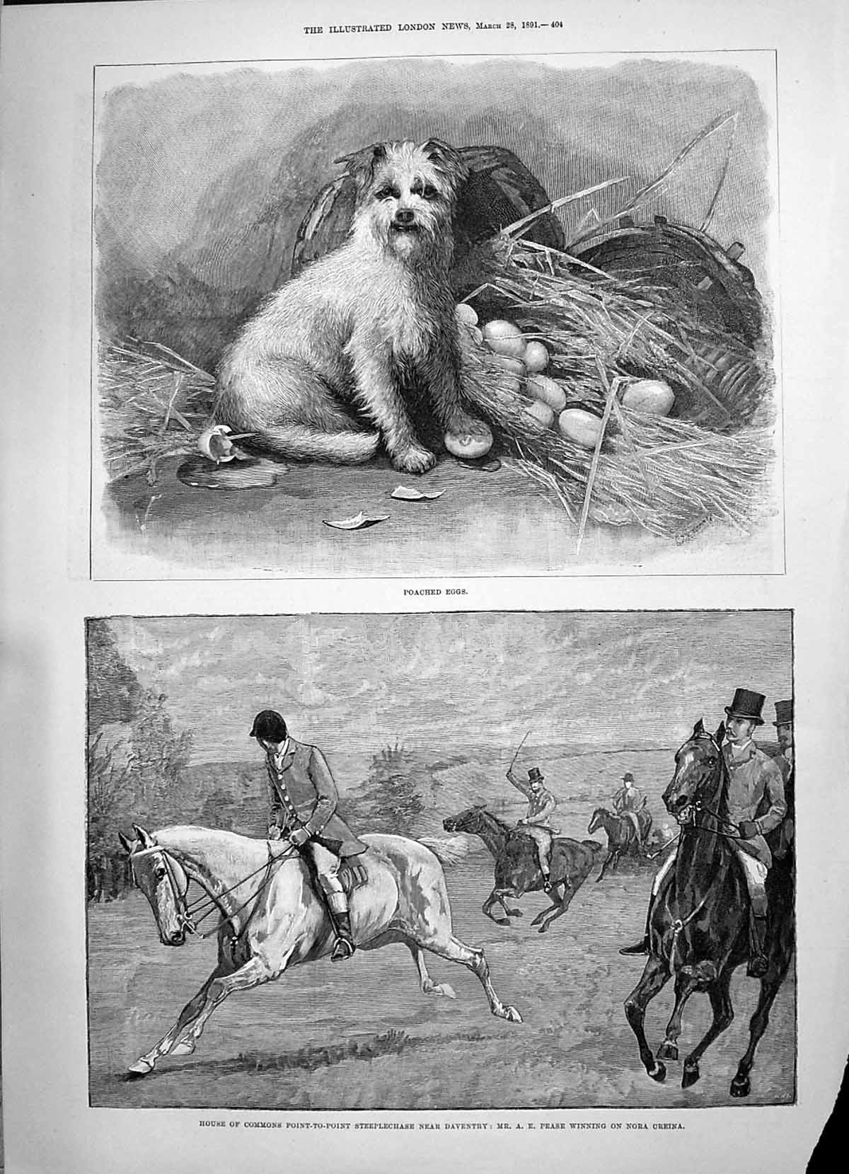 Old 1891 Dog Eggs House Commons Steeplechase Nora Creina Pease Horse Victorian