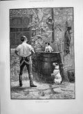 Antique Print 1891 Survival Fittest Puppy Dogs Water Barrel George Mededith
