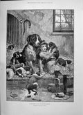 Old 1891 Privileged Visitor Young Girl Puppy Dogs Berkeley Brown Cadm Victorian
