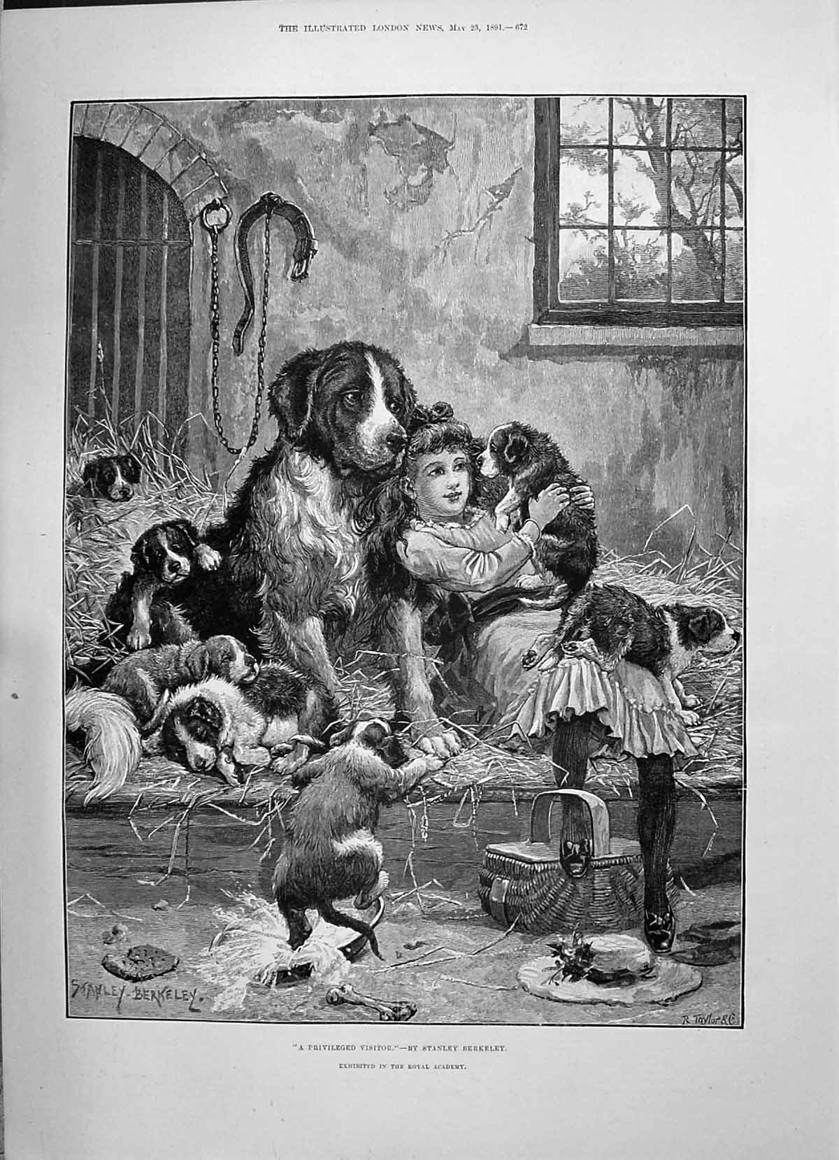 Old 1891 Privileged Visitor Young Girl Puppy Dogs Berkeley Brown Cadm Victorian
