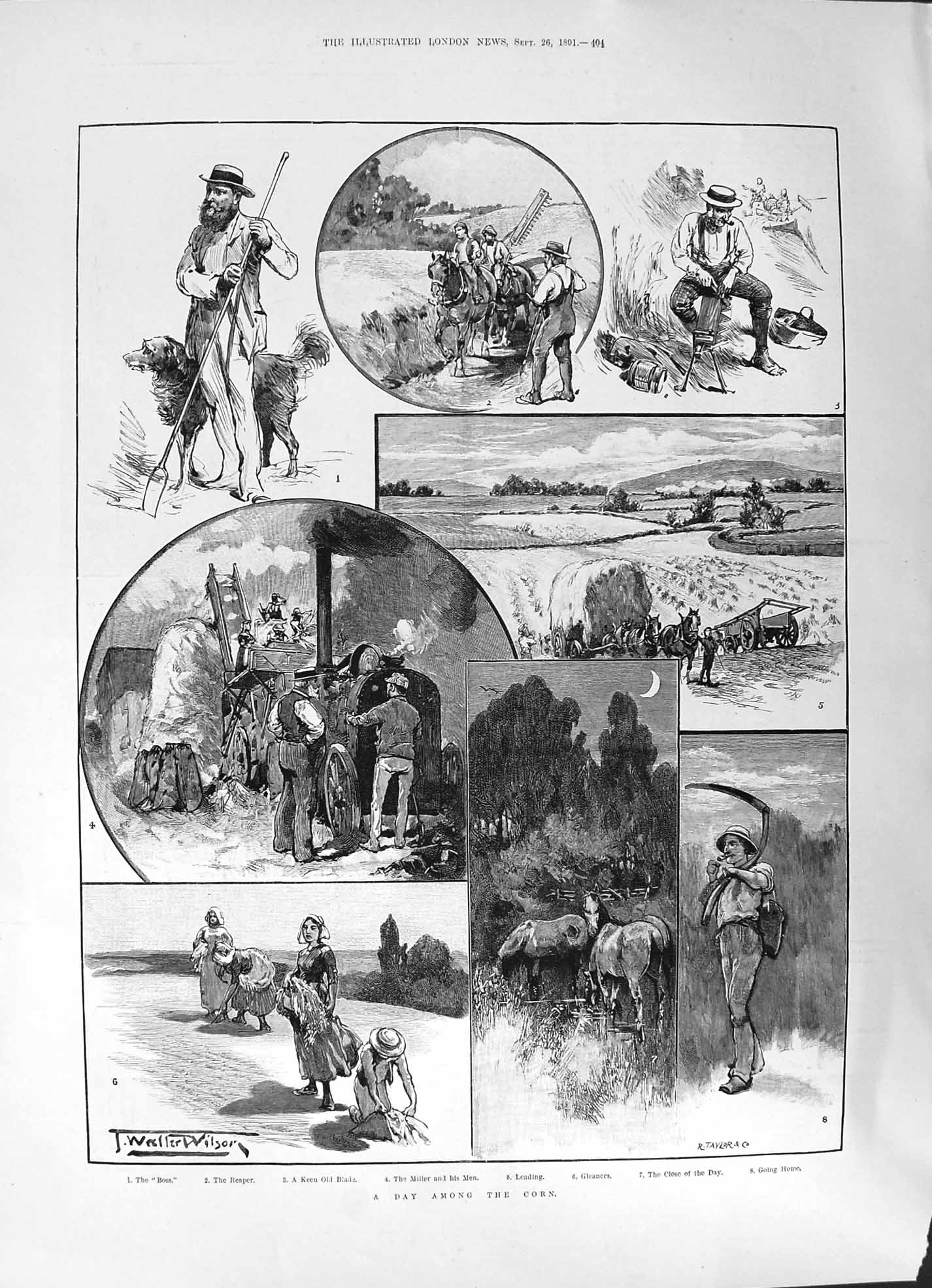 Old 1891 Corn Farming Agriculture Reaper Gleaners Playhouse Theatre G Victorian