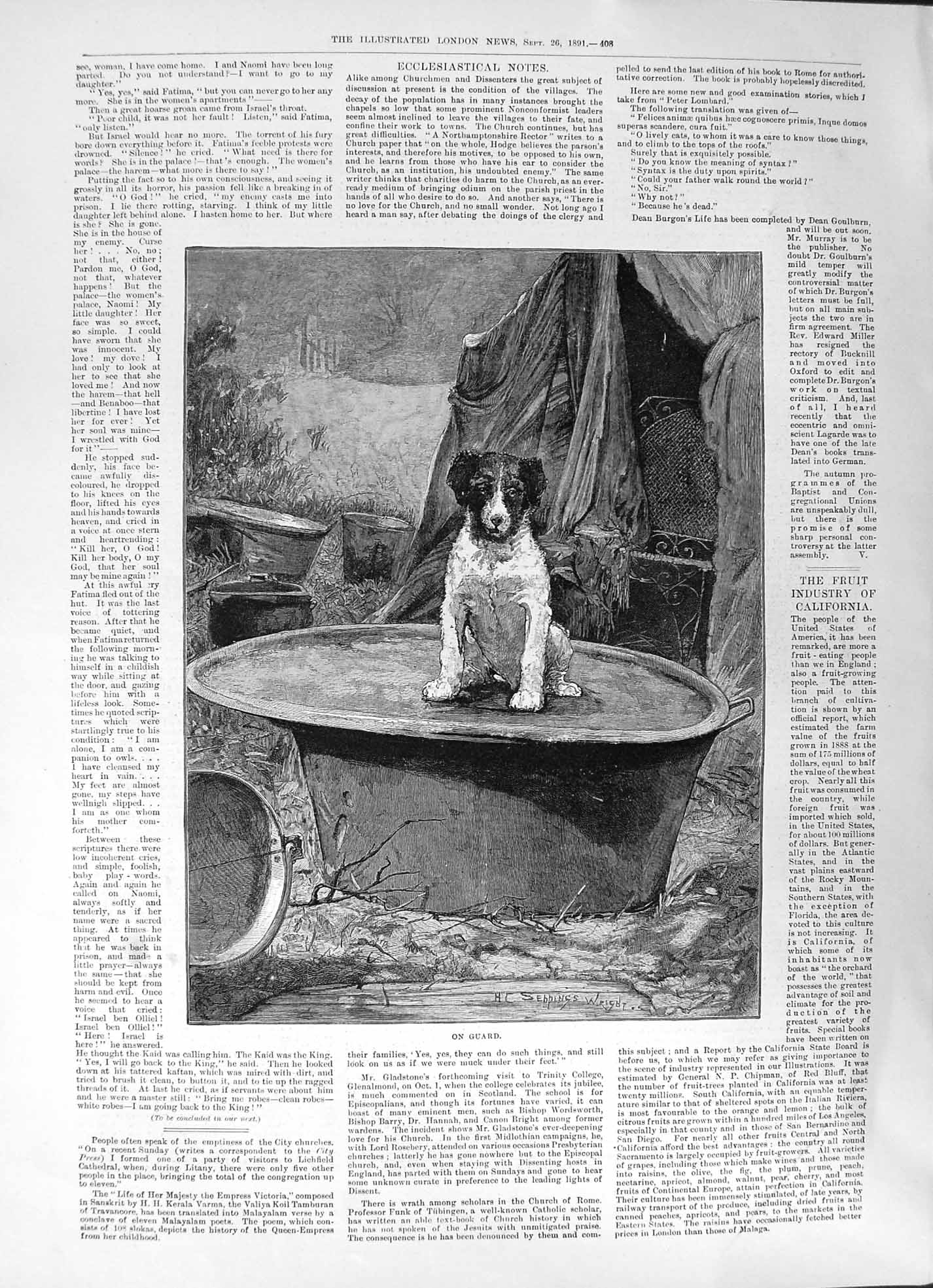 Original Old Antique Print 1891 Guard Dog Seppings Wright Animal Pet Outdoors