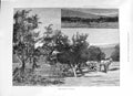 Old 1891 Fruit-Gathering California Montbard Trees Frederick Tennyson Victorian