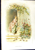 Old Print 1891 Colour Crumbs Comfort Beautiful Lady Little Birds Flowers 19th