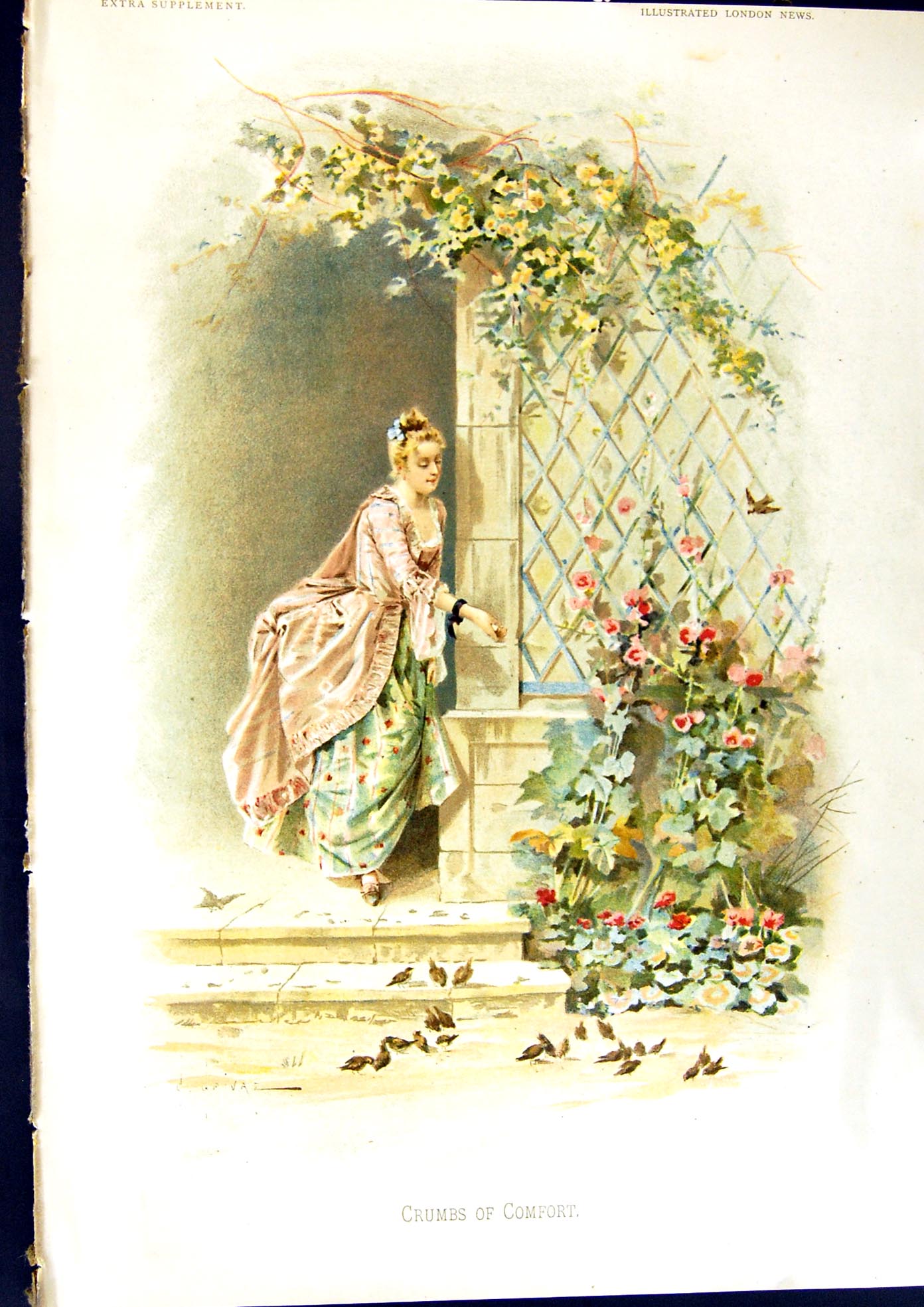 Old Print 1891 Colour Crumbs Comfort Beautiful Lady Little Birds Flowers 19th