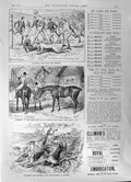 Old 1891 Elliman Embrocation Slough England Aches Pains Horses Hounds Victorian