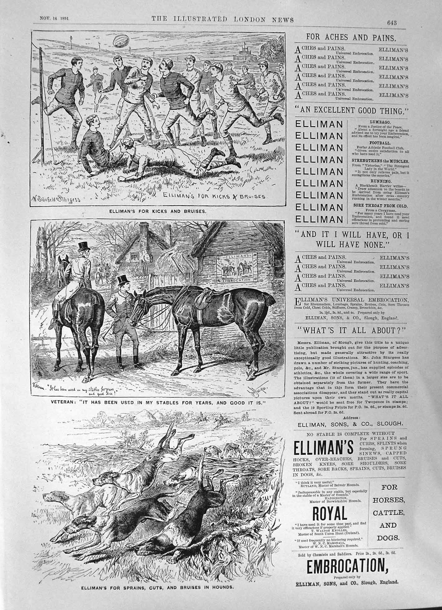 Old 1891 Elliman Embrocation Slough England Aches Pains Horses Hounds Victorian
