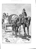 Print 1891 Mongolia Camels Caravan Russian Mail Gobi Desert Julius Price Stead